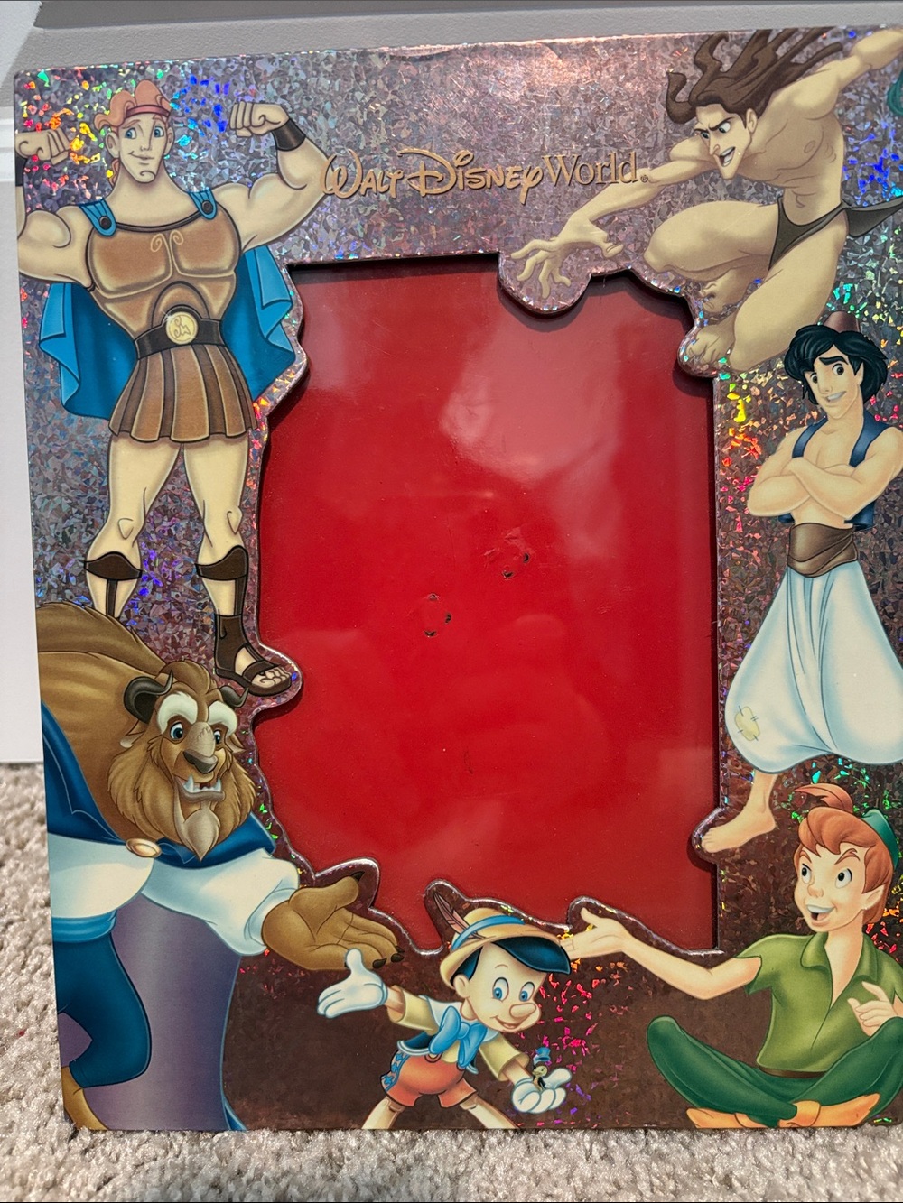 VINTAGE Walt Disney World picture frame featuring princes 5x7 photo
